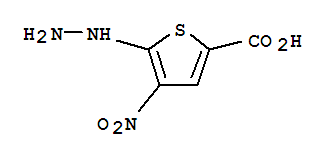 2-Thiophenecarboxylicacid,5-hydrazino-4-nitro-(7ci)Structure,88511-62-0Structure 2-Thiophenecarboxylicacid,5-hydrazino-4-nitro-(7ci) Structure,88511-62-0Structure