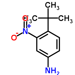 Benzenamine, 4-(1,1-dimethylethyl)-3-nitro-Structure,31951-12-9Structure Benzenamine, 4-(1,1-dimethylethyl)-3-nitro- Structure,31951-12-9Structure